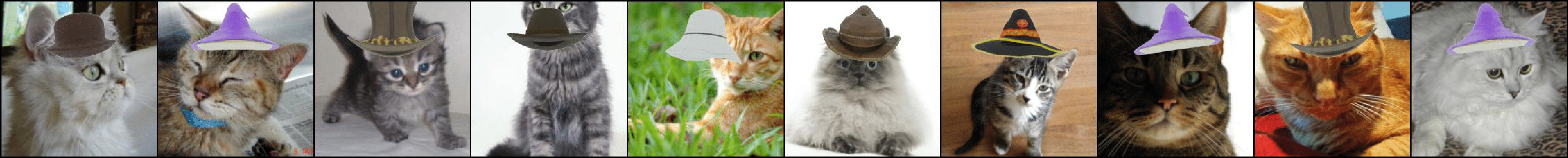 Cat Samples in Imagenet